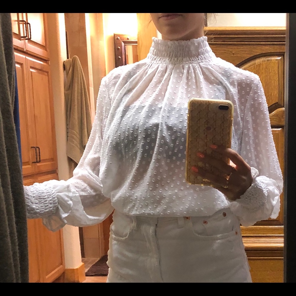 Sheer Blouse